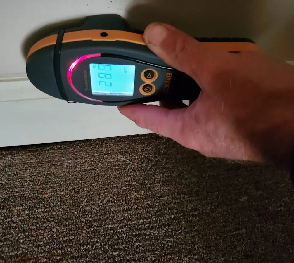 Moisture detection at baseboard during Sewage Cleanup & Sanitation in Onondaga